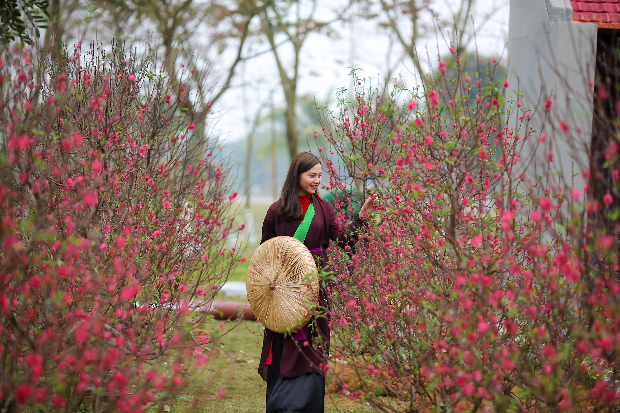 vé máy bay đi Hải Phòng