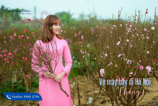 Vé máy bay đi Hà Nội tháng 1