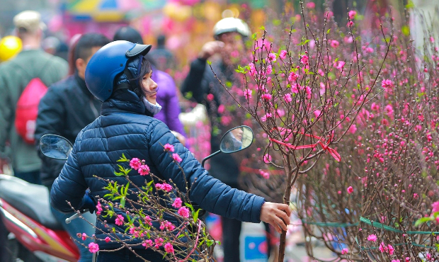 mua vé máy bay đi Hà Nội tháng 1