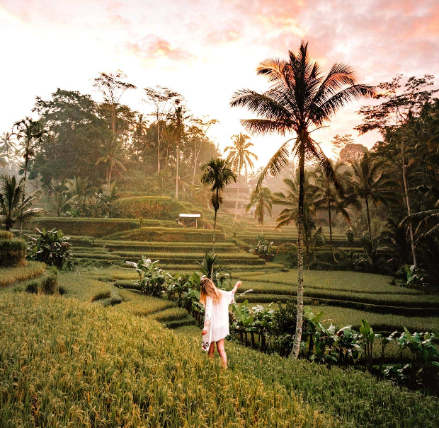 ruộng bậc thang Tegalalang
