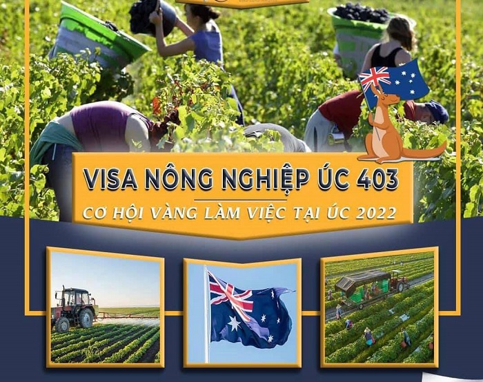 Visa nông nghiệp Úc - visa 403 visa 403