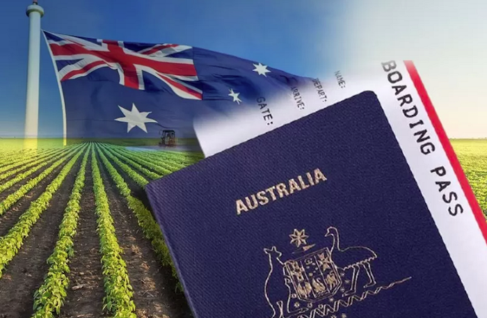 Làm việc với visa 403, bạn sẽ nhận được mức lương cao cách xin visa du lịch úc tự túc