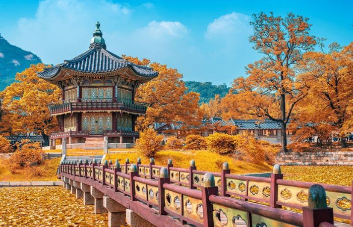 Các đối tượng xin visa thăm thân Hàn Quốc