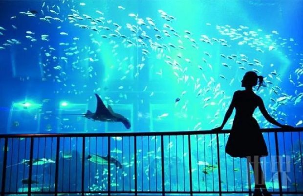 Ảnh du lịch Singapore - thủy cung