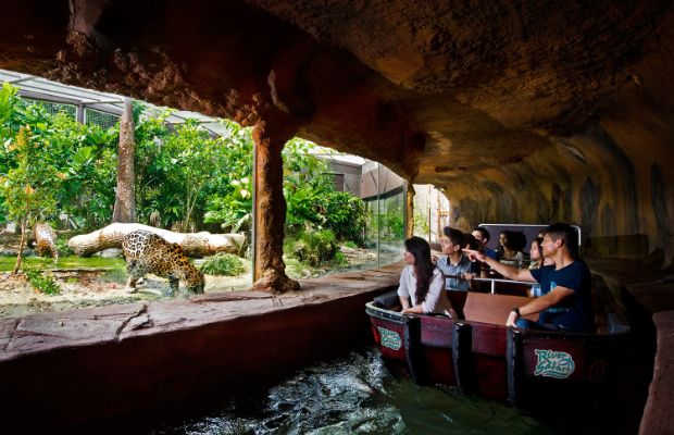 Ảnh du lịch Singapore - sở thú đêm