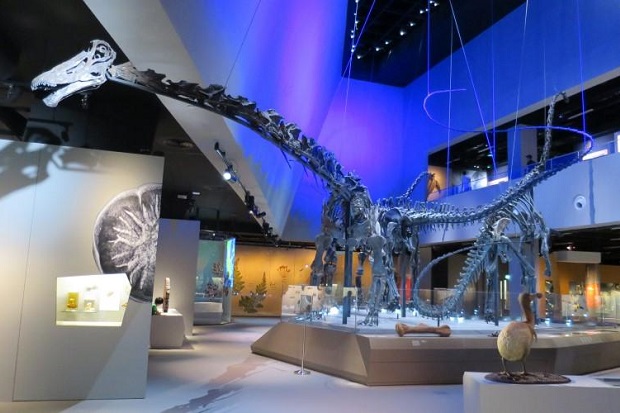 Du lịch Singapore cho trẻ em - bảo tàng lịch sử tự nhiên lee kong chian