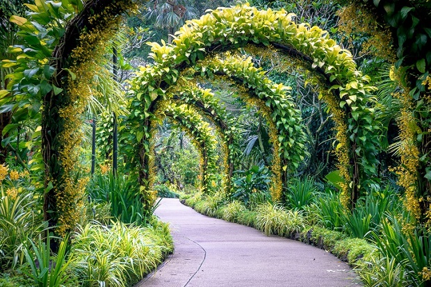 Du lịch Singapore cho trẻ em - botanic garden