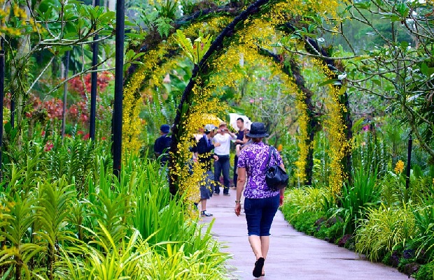 Du lịch Singapore địa điểm - Vườn Lan Quốc Gia