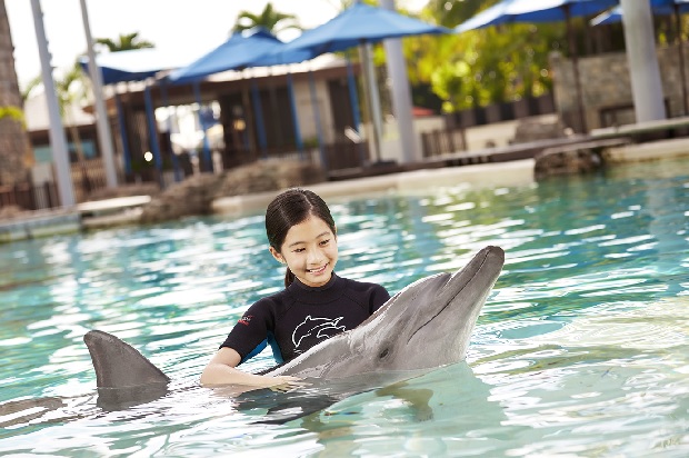 Du lịch Singapore địa điểm - Đảo c&aacute; heo