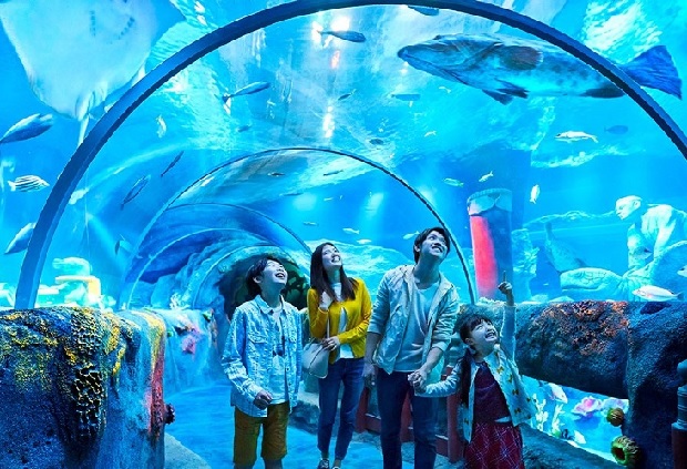 Du lịch Singapore địa điểm - Thủy cung S.E.A Aquarium