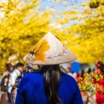 Du lịch ngắn ngày lên ngôi với list tour Tết 2026 bằng xe cực chất