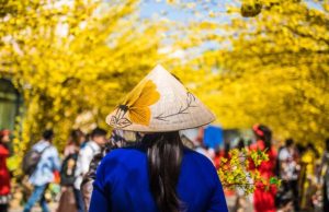 Du lịch ngắn ngày lên ngôi với list tour Tết [sc_post type=year] bằng xe cực chất
