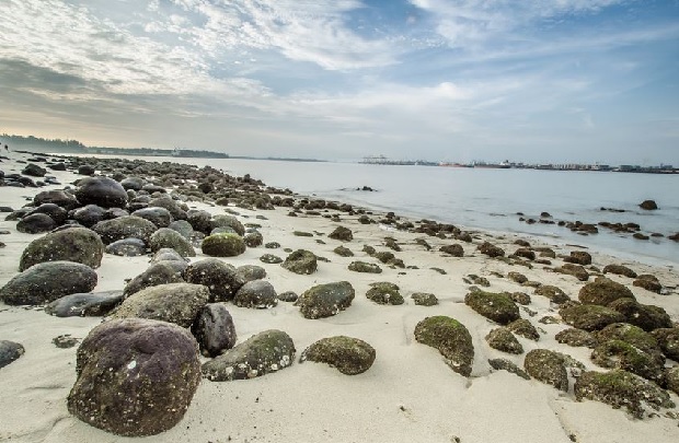 Singapore có biển không - Punggol