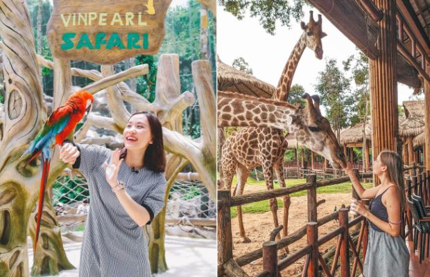 Vinpearl Safari Phú Quốc