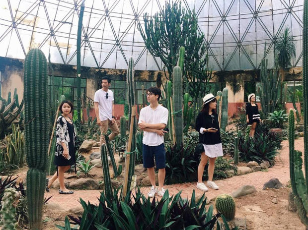 Tour Tết 2023 bằng xe - ba vì