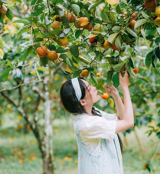 ve may bay di can tho gia re