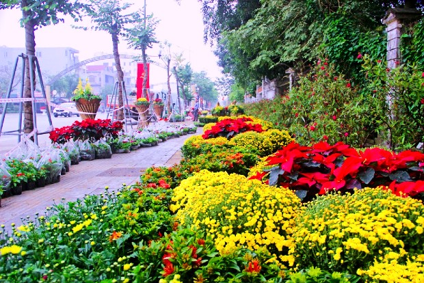 V&eacute; m&aacute;y bay đi Vinh th&aacute;ng 1