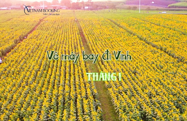 V&eacute; m&aacute;y bay đi Vinh th&aacute;ng 1