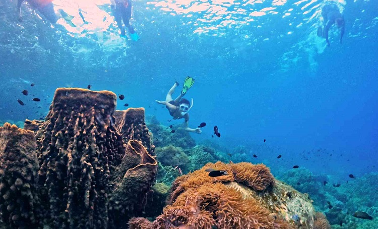 Lặn biển Phú Quốc