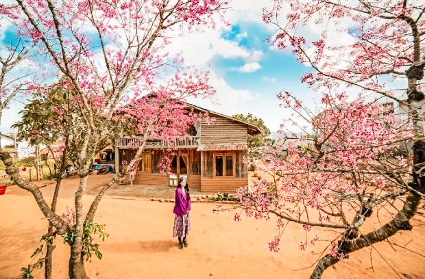 v&eacute; m&aacute;y bay Hải Ph&ograve;ng đi Đ&agrave; Lạt Vietjet Air