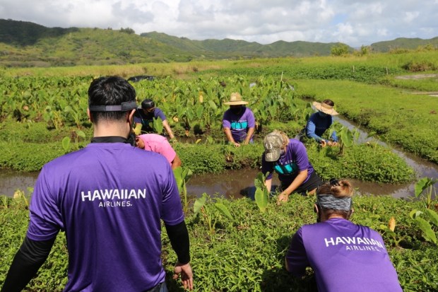 Hawaiian Airlines tập trung v&agrave;o tr&aacute;ch nhiệm x&atilde; hội