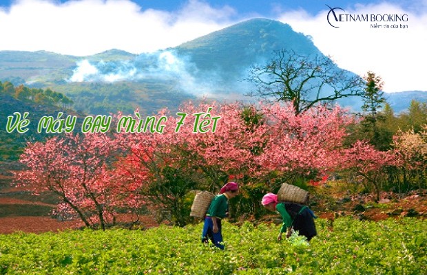 Vé máy bay mùng 7 Tết