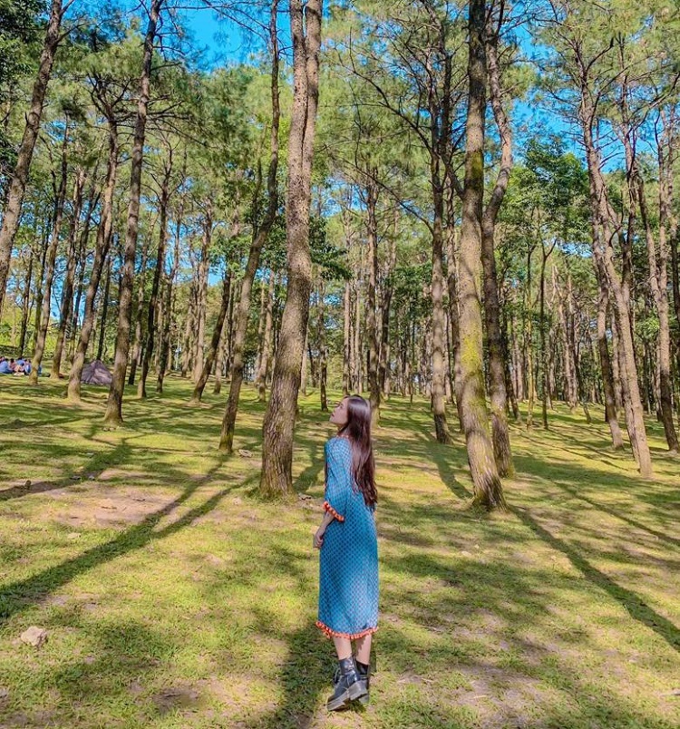 Vườn quốc gia Ba Vì