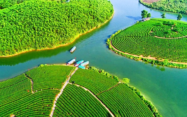 v&eacute; m&aacute;y bay Pleiku đi Vinh Bamboo
