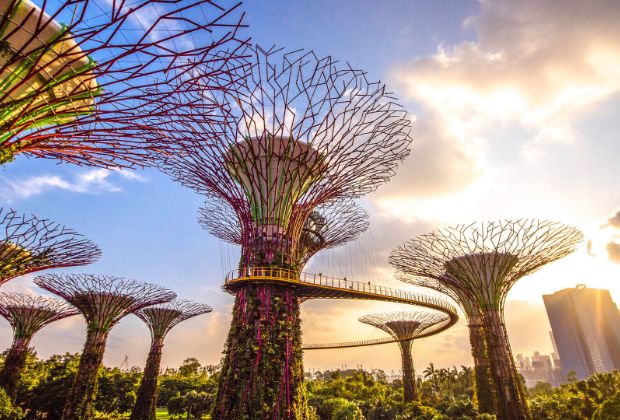 Ăn gì chơi gì ở Singapore - Gardens By The Bay