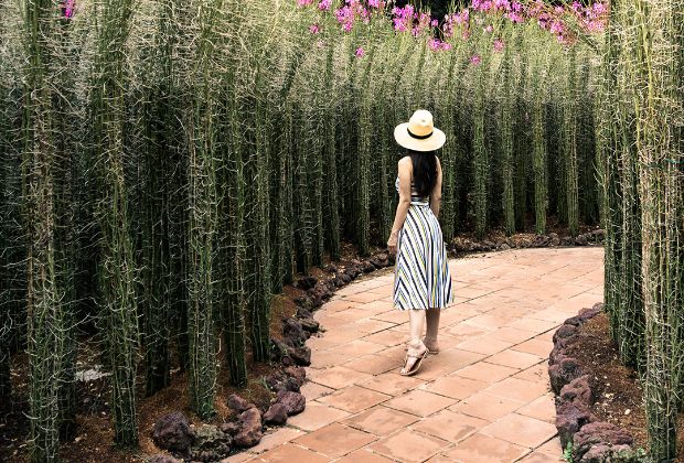 Ăn gì chơi gì ở Singapore - vườn bách thảo