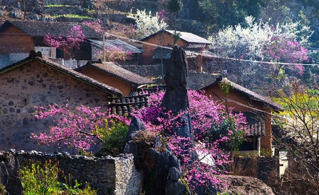 Combo đi Sapa 3 ng&agrave;y 2 đ&ecirc;m gi&aacute; rẻ - M&ugrave;a Xu&acirc;n