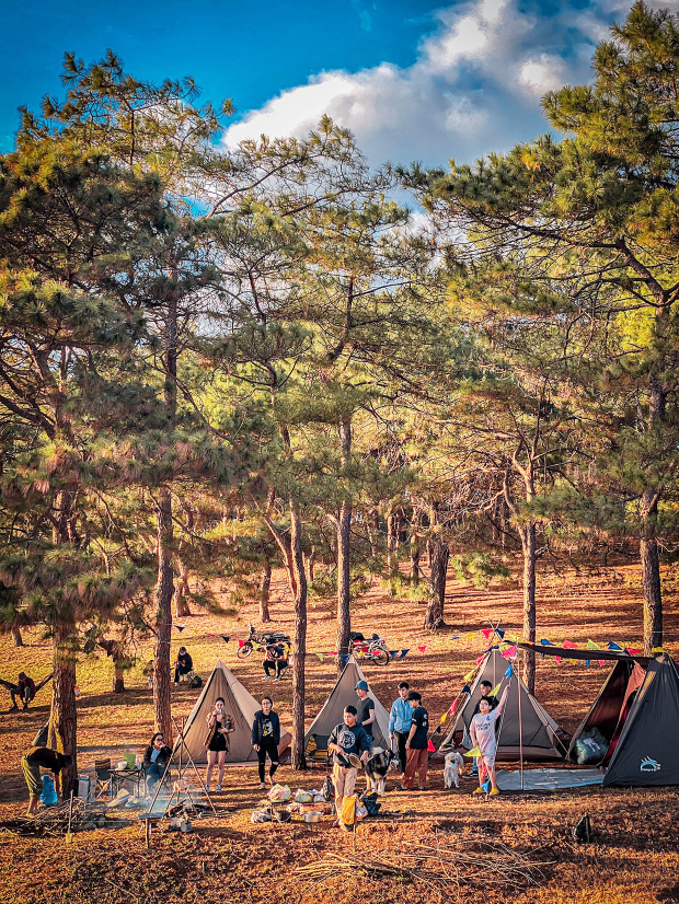 Vé máy bai đi Pleiku tham quan Đồi thông Diên Phú 