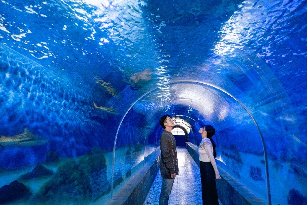 Kinh nghiệm du lịch Nha Trang cho gia đình - Viện hải dương học