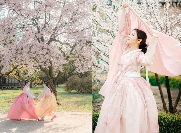 Lịch ngắm hoa anh đào 2023 - trang phục Hàn Quốc