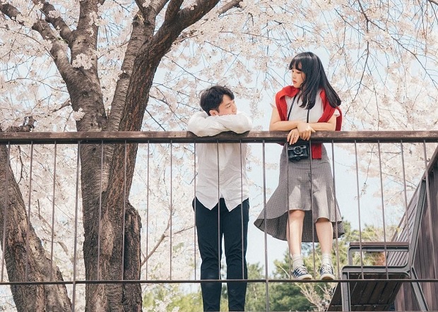 Lịch ngắm hoa anh đào 2023 - Hàn Quốc