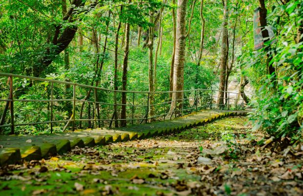 Lịch nghỉ lễ 2023 - Núi Dinh