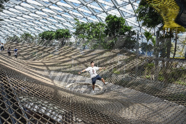 Review du lịch Singapore - Lưới nhện