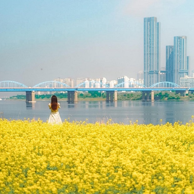 vé máy bay đi Seoul tháng 6