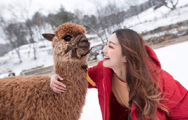 Thông tin du lịch Hàn Quốc - Gangwon