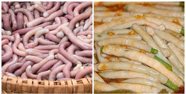 Tour Côn Đảo từ Sài Gòn - sá sùng