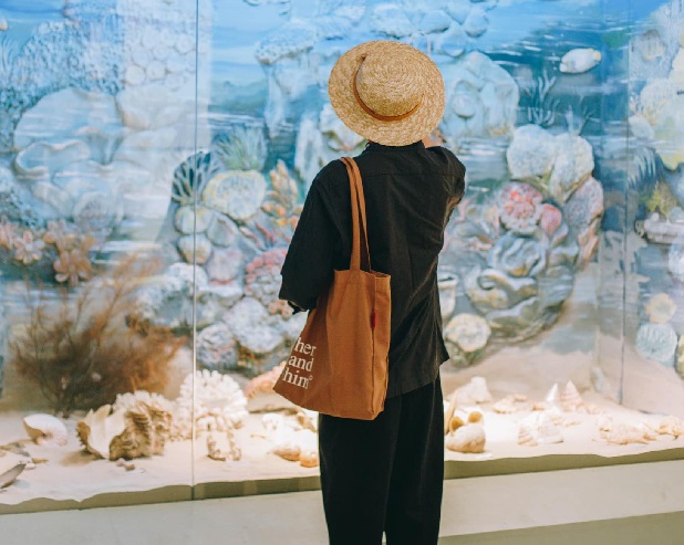 Tour Côn Đảo từ Sài Gòn - đi du lịch Côn Đảo