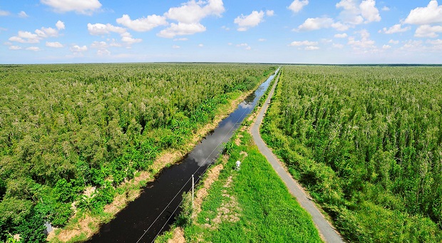 rừng U Minh Cà Mau