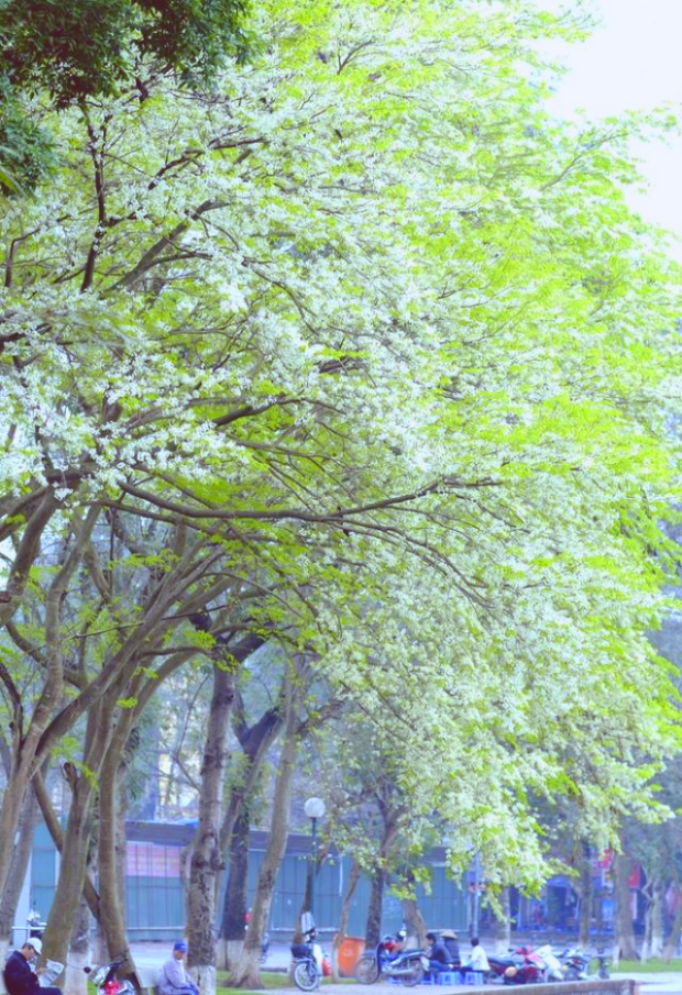 V&eacute; m&aacute;y bay đi H&agrave; Nội th&aacute;ng 3