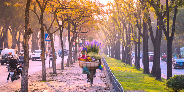 Săn v&eacute; m&aacute;y bay từ Quảng Ng&atilde;i đi H&agrave; Nội rẻ 