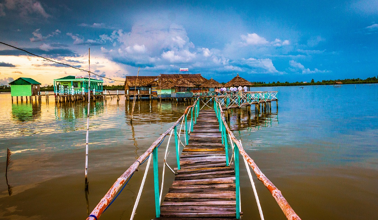 Đầm Thị Tường Cà Mau