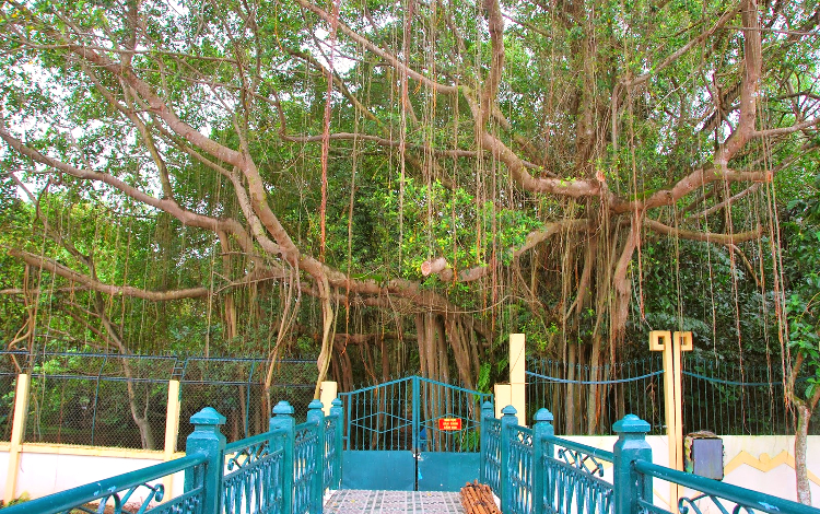 các địa điểm du lịch Cà Mau