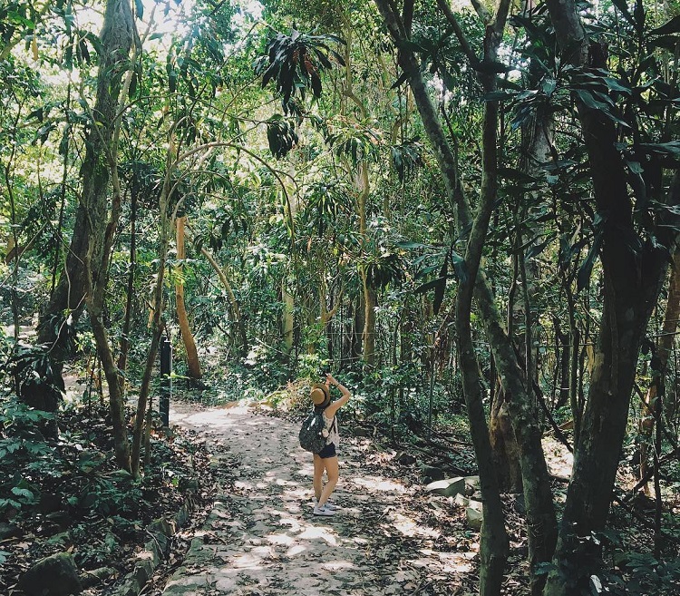 vườn quốc gia Côn Đảo