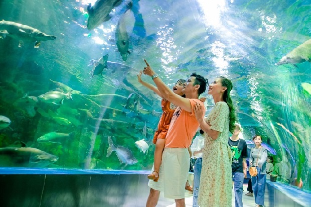 Chơi gì ở Nha Trang 2023 - Viện Hải Dương Học