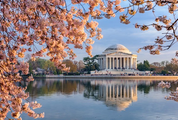 Du lịch Mỹ mùa hoa anh đào - Nguồn gốc hoa anh đào Mỹ