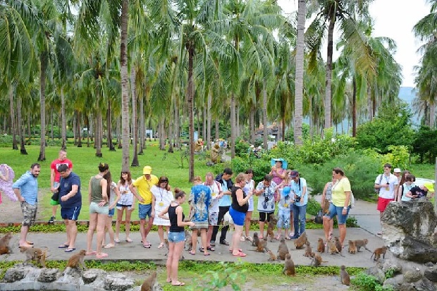 Dụng cụ team building - Đảo Khỉ Nha Trang